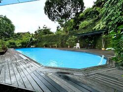 Swiss View (D11), Detached #480732001